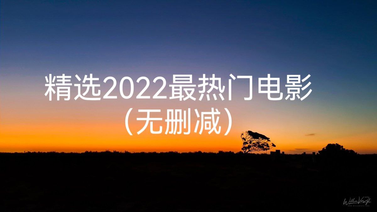 精选2022最热门电影33部（无删减） 10.43G